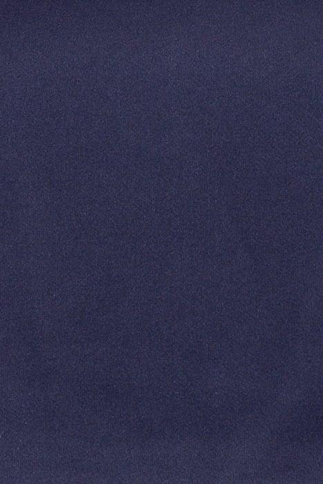 Lazy Image