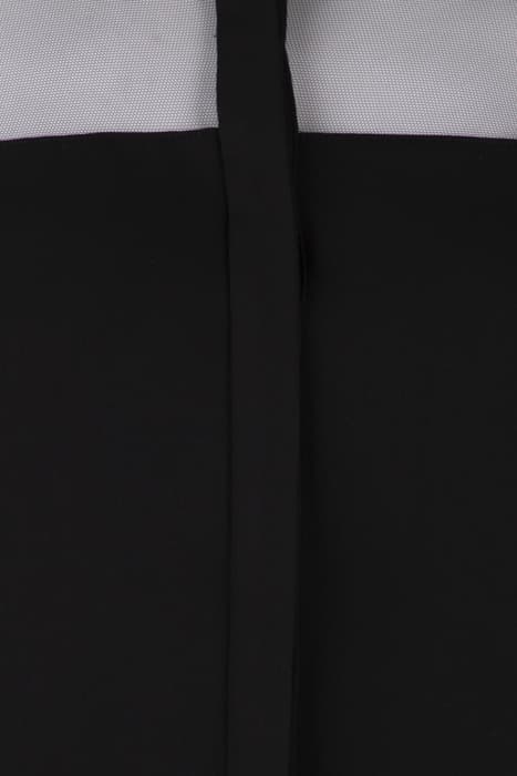 Lazy Image