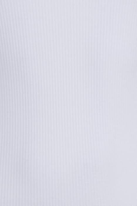 Lazy Image