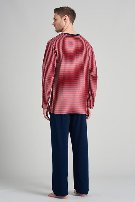 Lazy Image