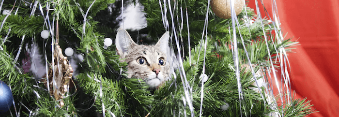 Kids collection banner