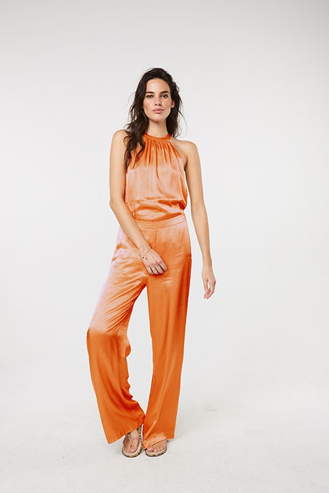 SEARLE VIS 543 CANTALOUPE 2